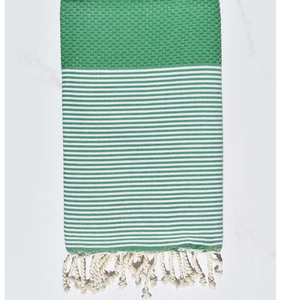 Vert malachite rayée blanc