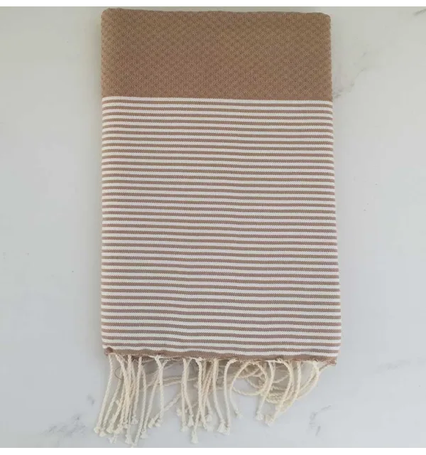 brun clair rayée blanc 