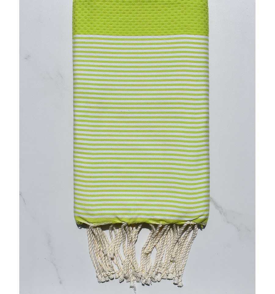 Vert lime rayée blanc