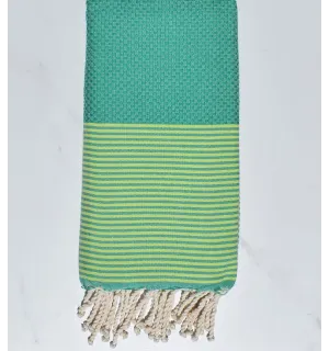 Nid d'abeille vert menthe à rayures vert chartreuse 