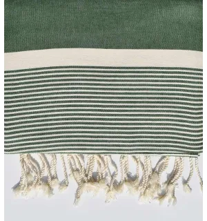 JETé vert mousse avec rayures  - 2