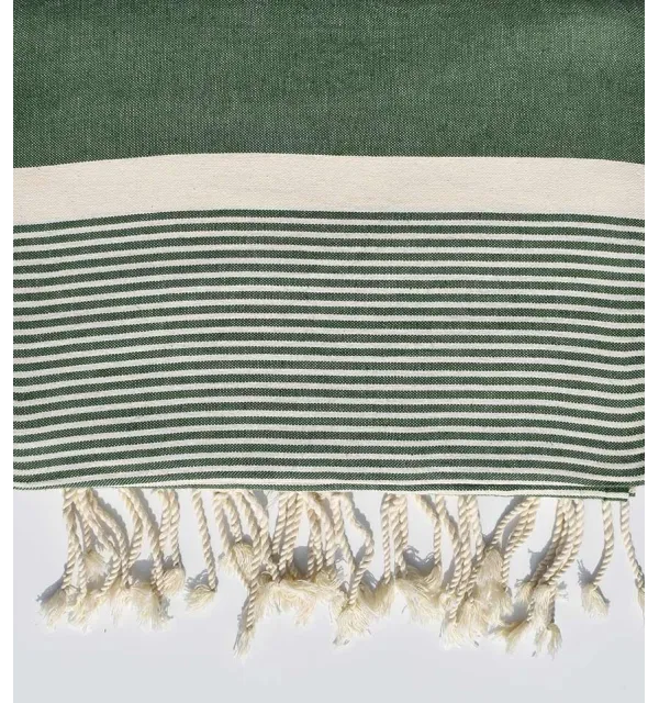 JETé vert mousse avec rayures - 2