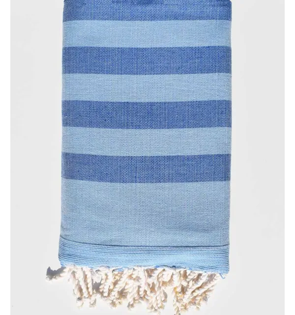 éponge couleur bleu clair et bleu - 1