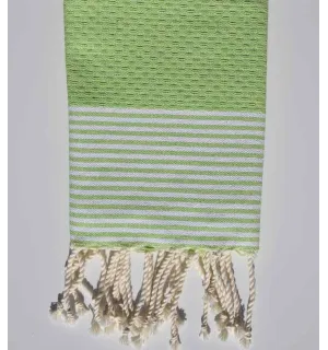 Lot de 10 serviettes de table vert anis clair Fouta Tunisia - 3