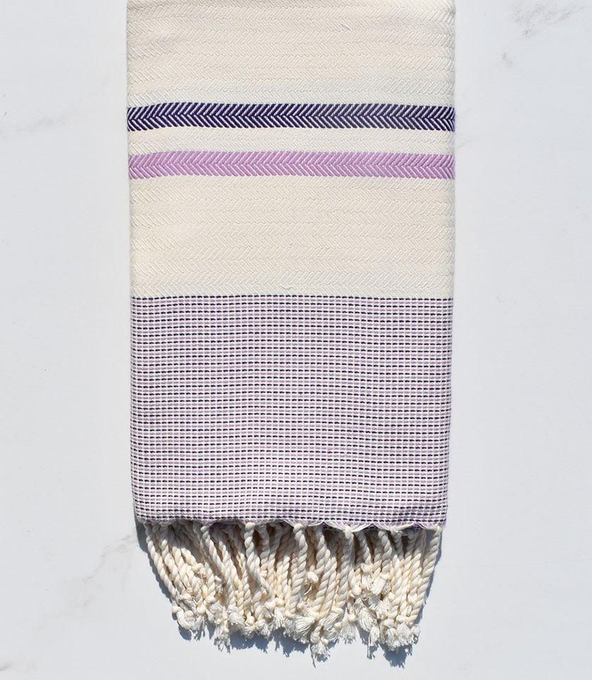 Chevron violet et lilas 