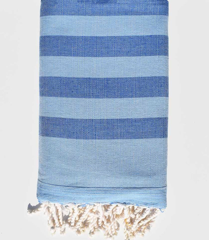 éponge couleur bleu clair et bleu  - 1